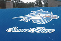 decorative awnings