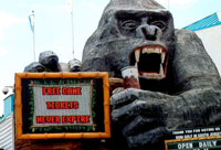 sign example